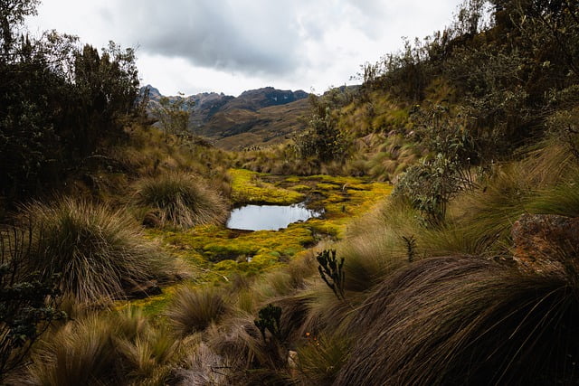 Ruins and National Parks in Ecuador