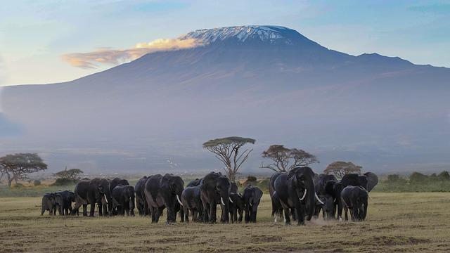 Planning a Trip To Kenya? Keep These Five Tips In Mind.