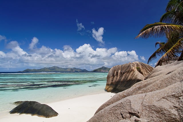 Seychelles palm trees, rocks and beaches view Image by HWMedia from Pixabay 