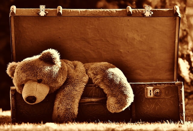 Teddy Bear Suitcase Image by Alexas_Fotos from Pixabay