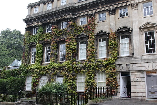 Bath England ivy covered building by pixabay user averynichols