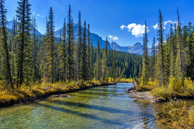 Jasper National Park pristine river and forest views by pixabay user Sonyuser