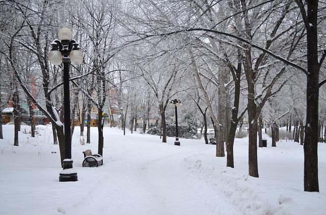 Winnipeg snow covered park in Manitoba, Canada by pixabay user 12019