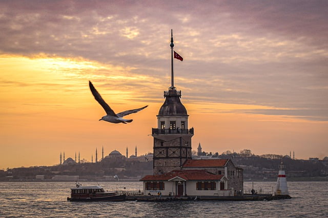 Turkey river sunset with a pigeon Image by Ben Kerckx from Pixabay 