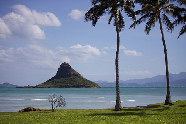 Oahu scenic views of palm trees, volcano and water along the coast Image by rjmcsorley from Pixabay 