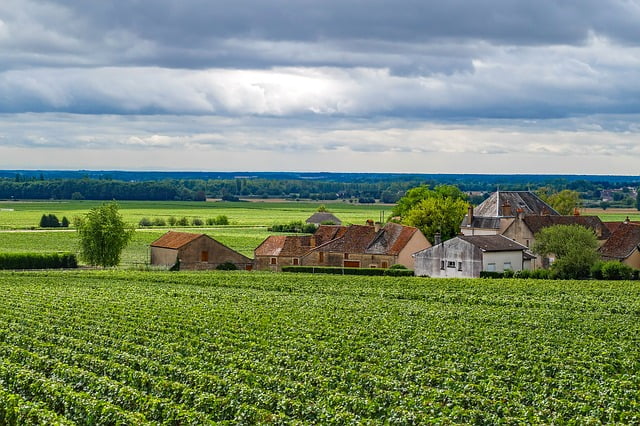 Burgundy vineyard scenic views