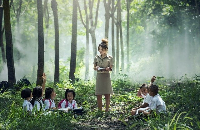 Teaching students in the forest